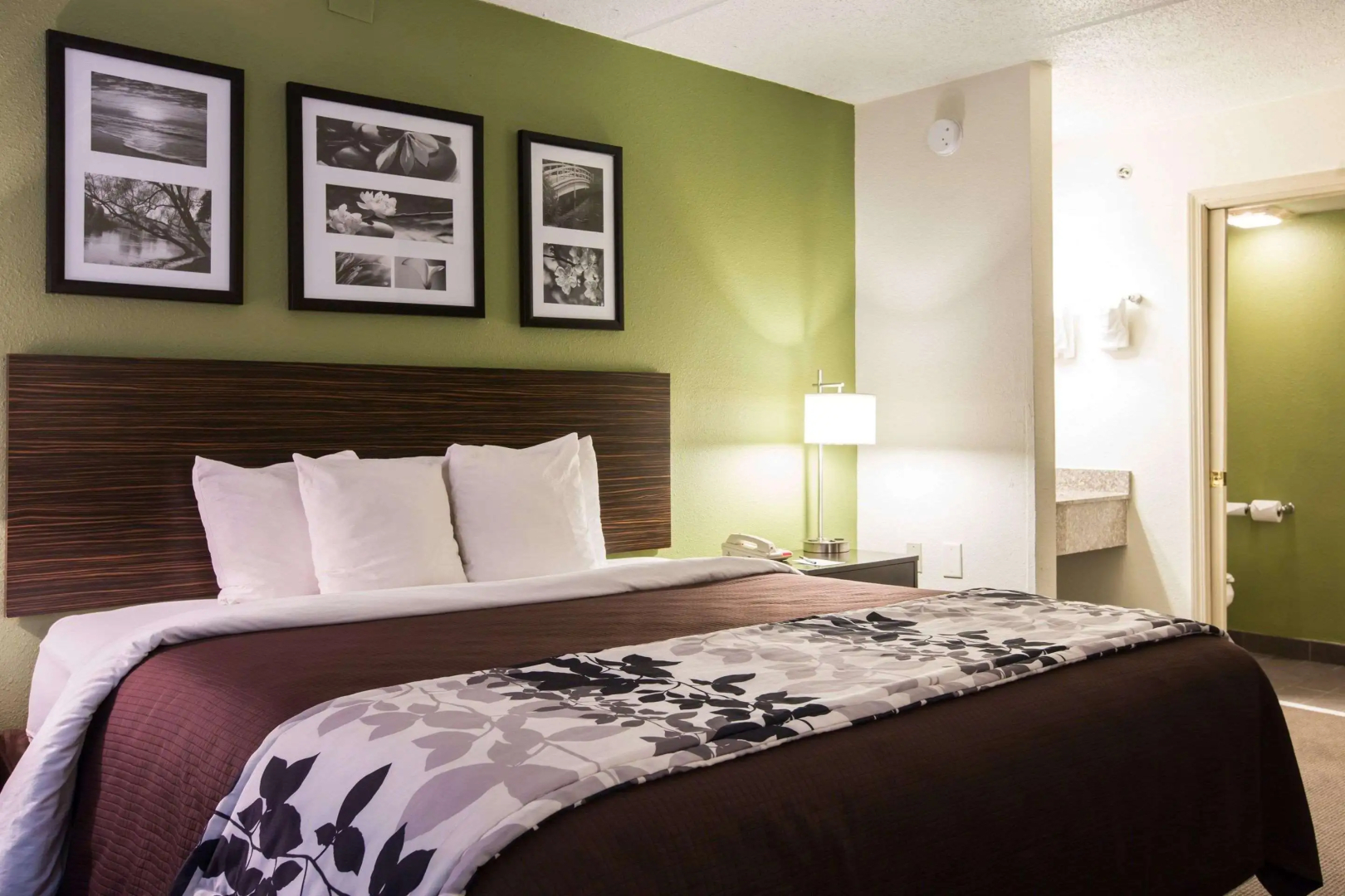 Foto - Sleep Inn Atlanta Airport