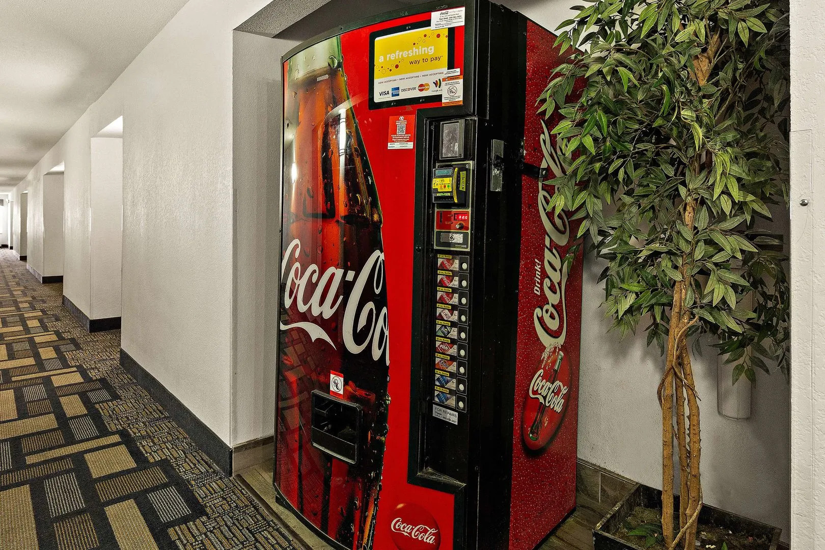 Foto - Best Western Galleria Inn & Suites