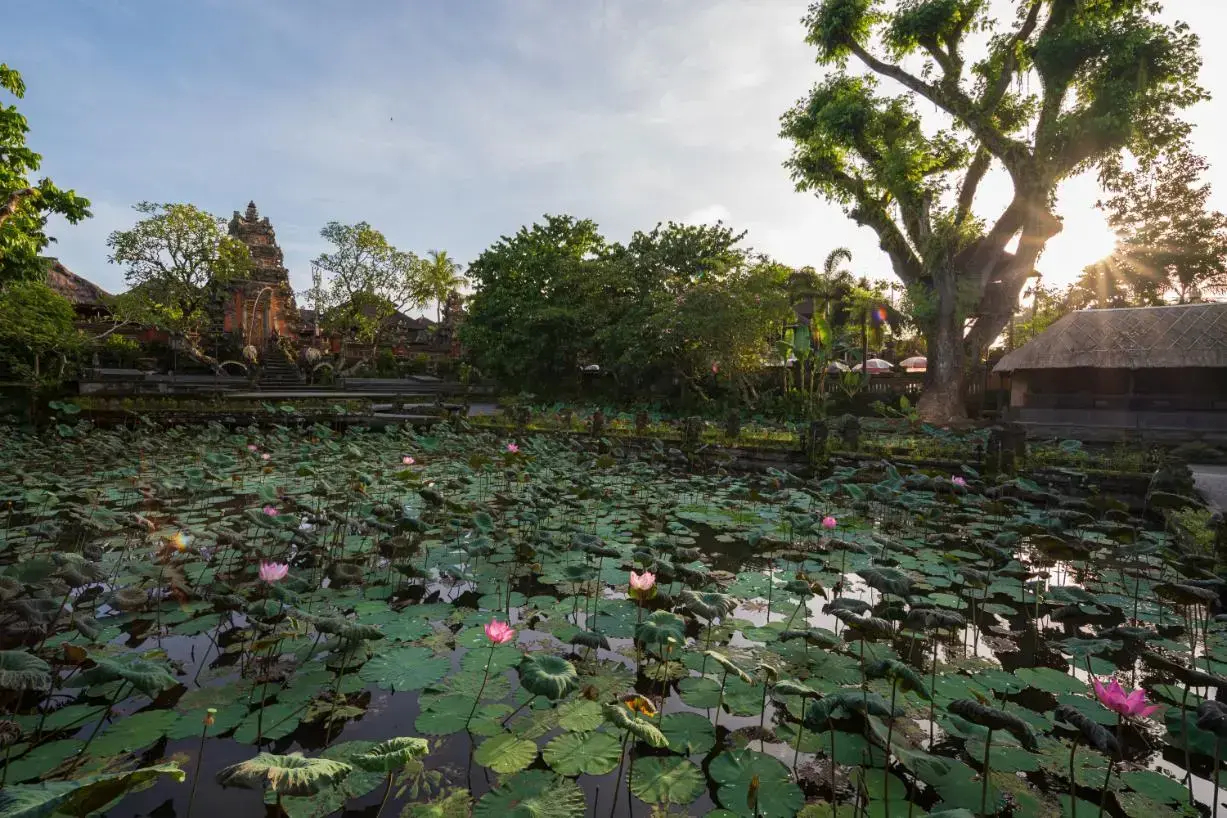 Foto - Puri Saraswati Dijiwa Ubud