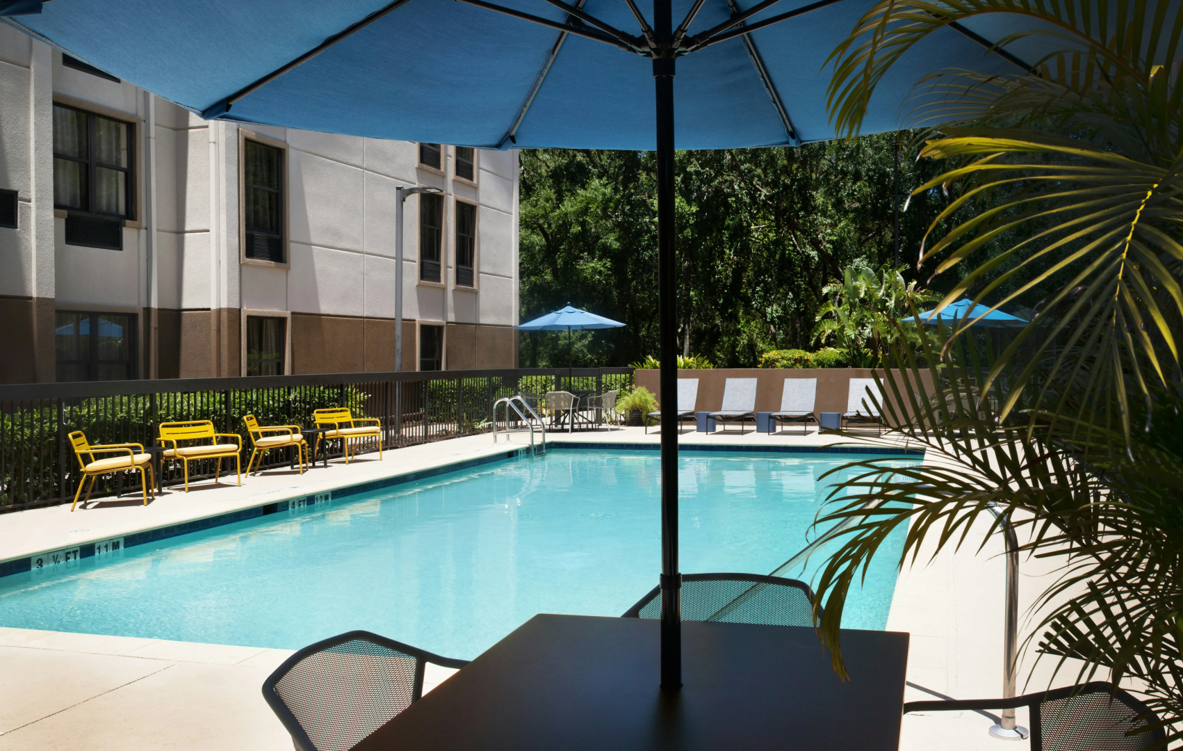 Foto - Hampton Inn & Suites Tampa-North