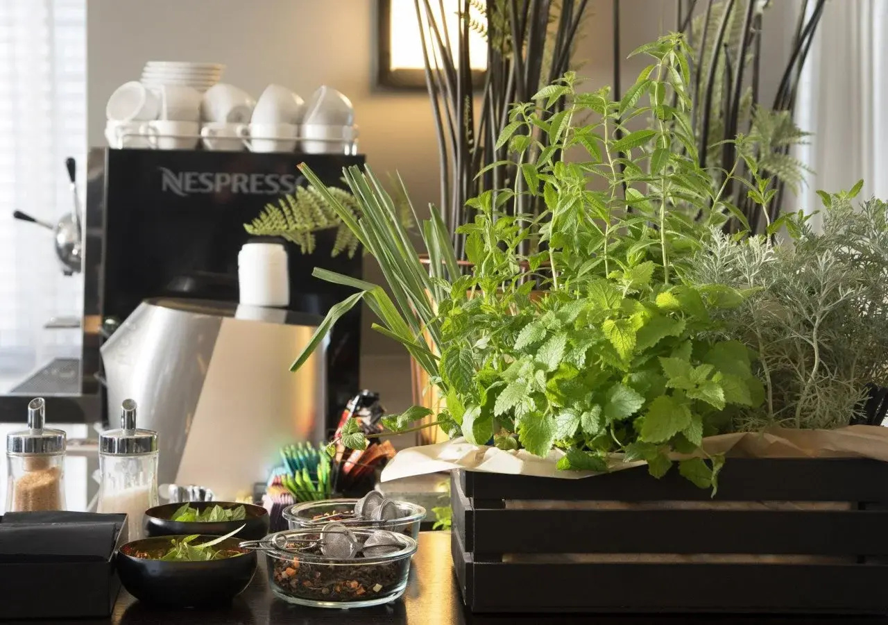 Foto - Vital Hotel - Urban Boutique Hotel with Shelter Access