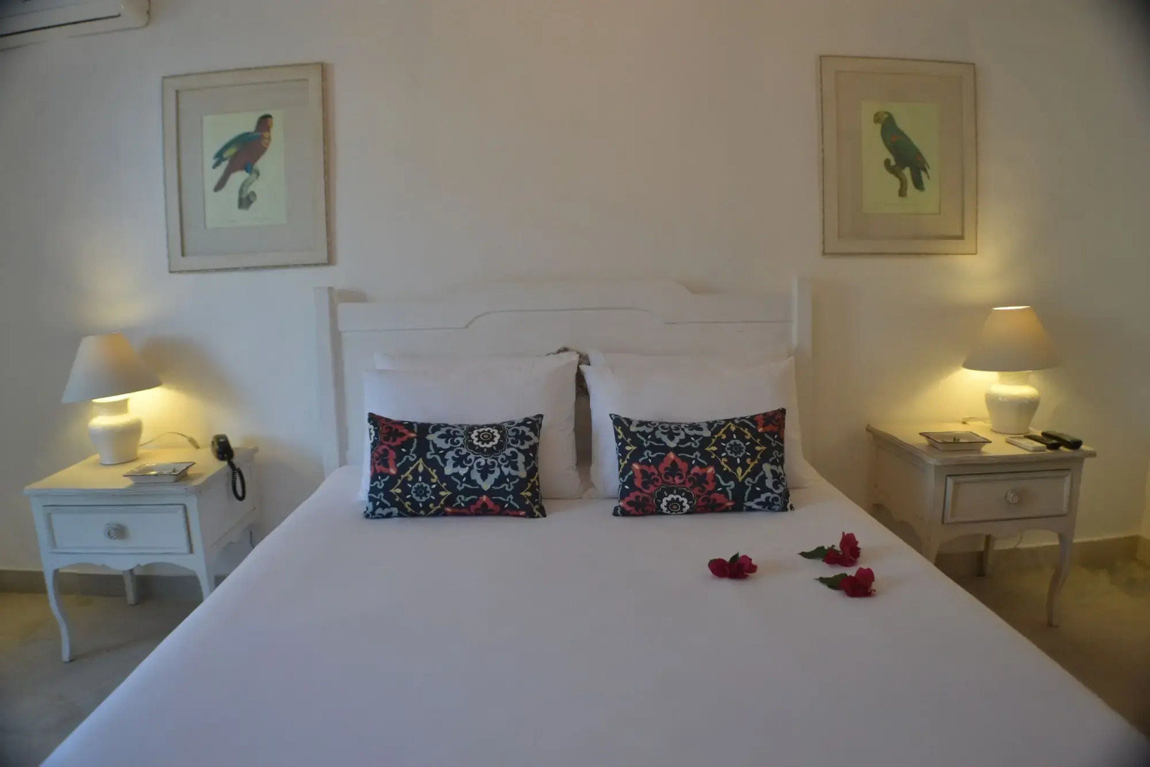 Foto - Villa Raphael