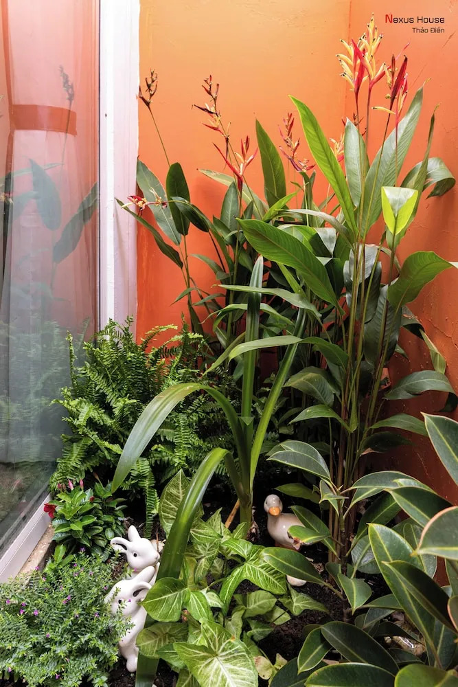 Photo - Nexus House Garden Thao Dien