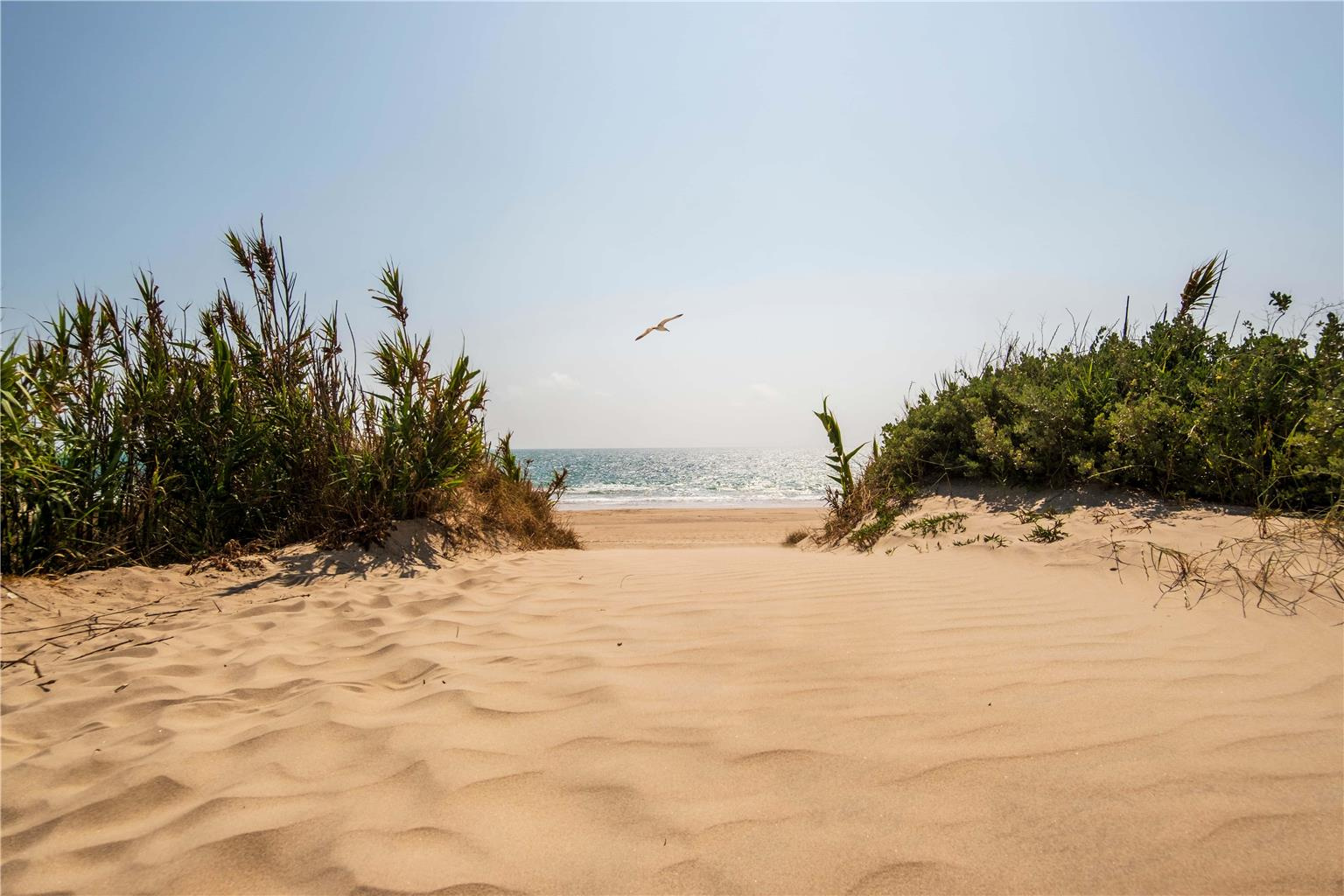 Photo - Barceló Costa Ballena Golf & Spa