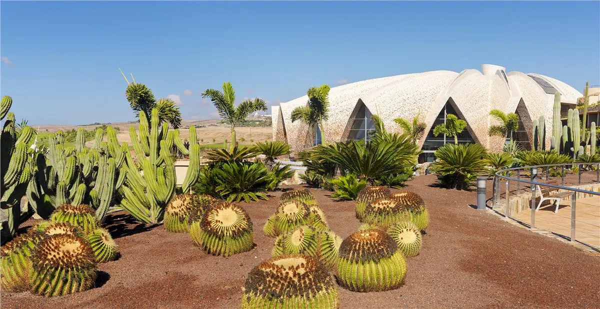 Foto - H10 Playa Meloneras Horizons Collection