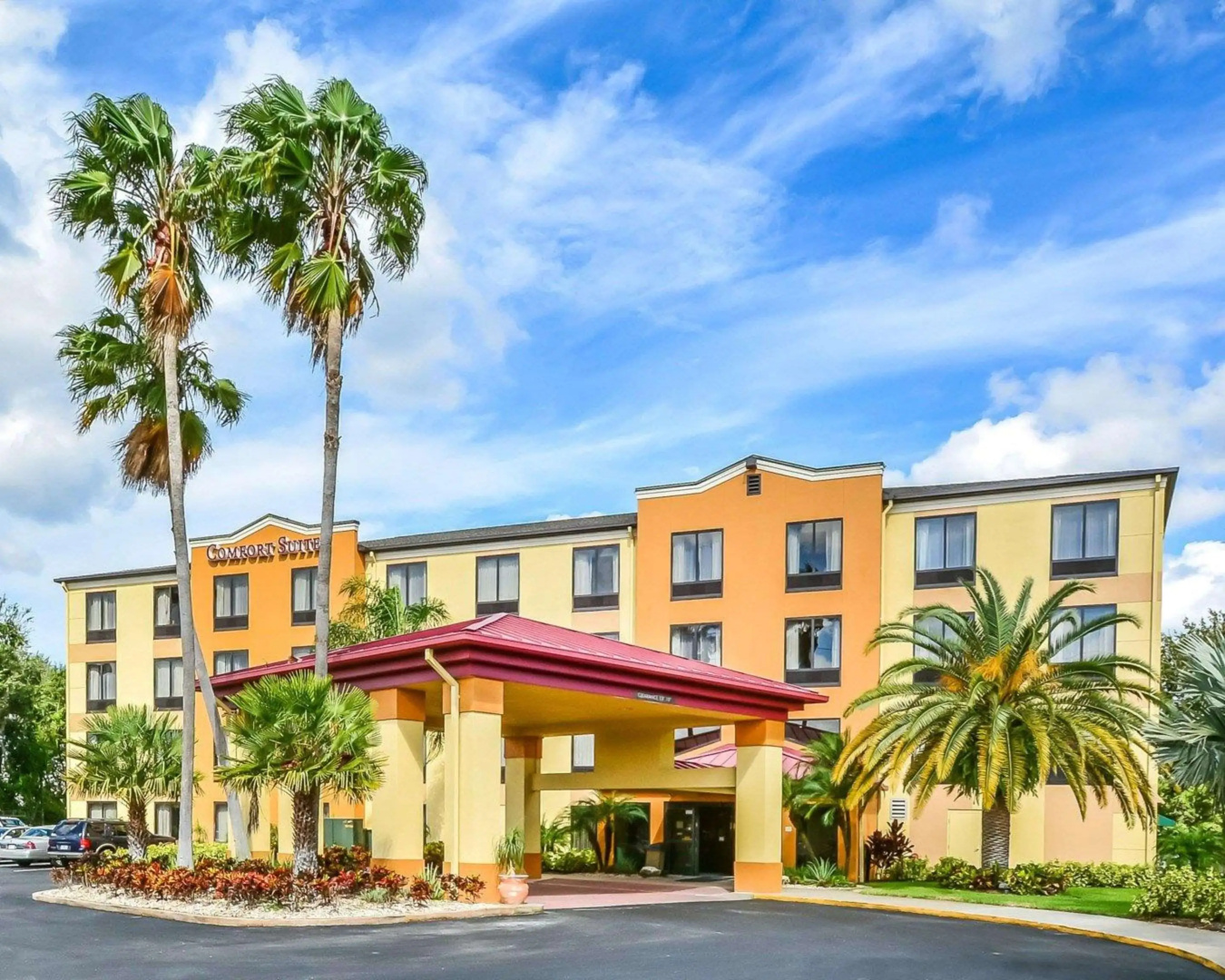 Foto - Comfort Suites Tampa - Brandon
