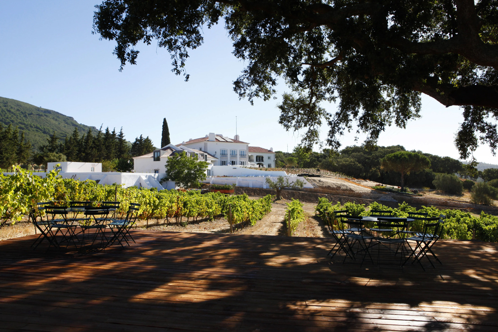 Foto - Hotel Casa Palmela - Small Luxury Hotels of The World, Hotel & Villas