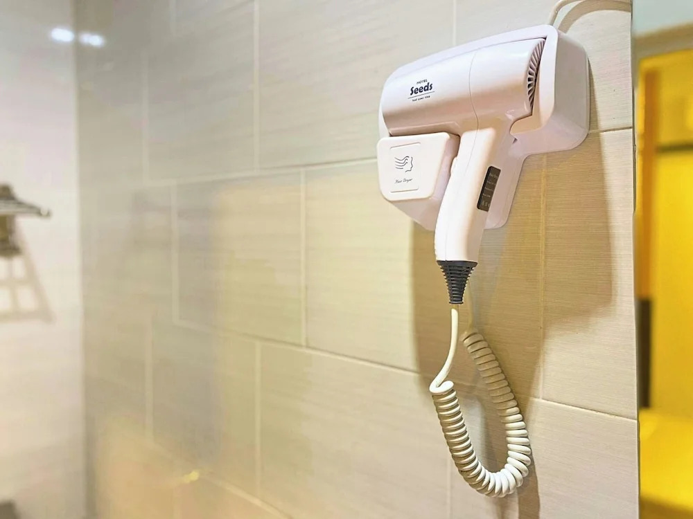 Photo - Seeds Hotel PV12