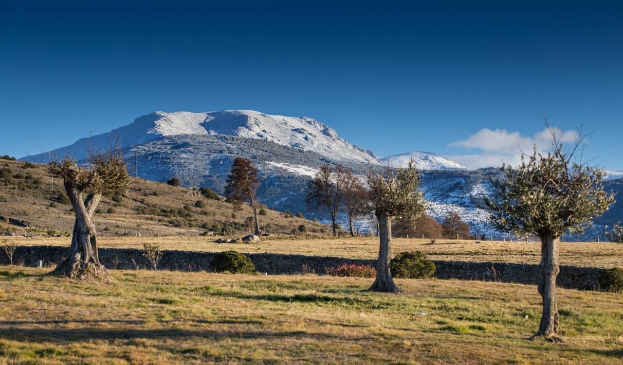 Photo - Hotel Izán Puerta de Gredos