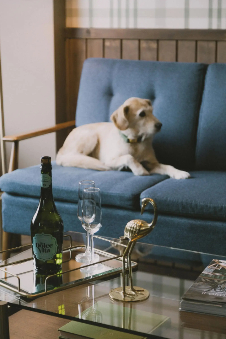 Photo - Hotel Eco Boutique Bidasoa