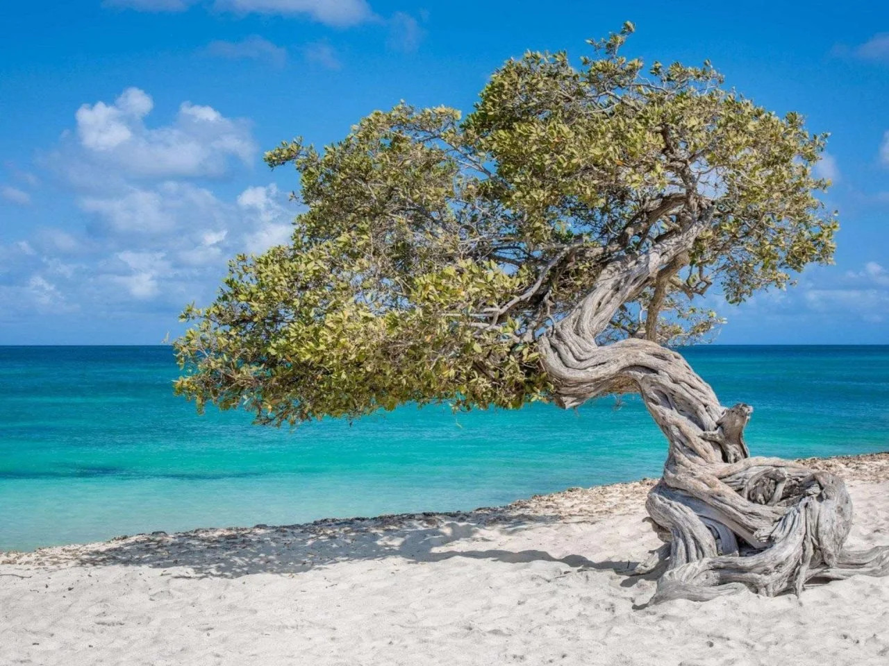 Photo - Bluegreen at La Cabana Beach Resort & Casino