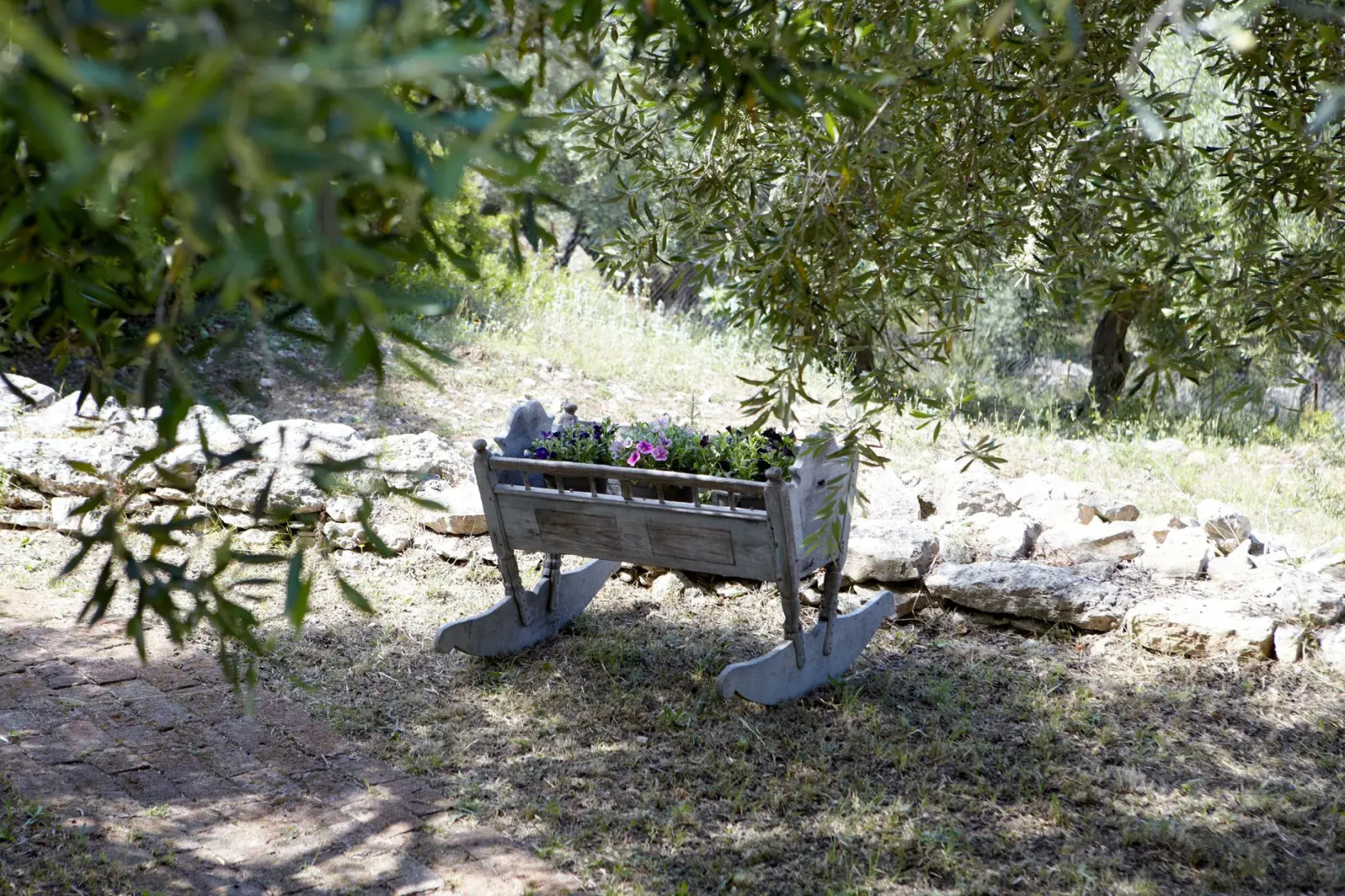 Foto - Torri e Merli