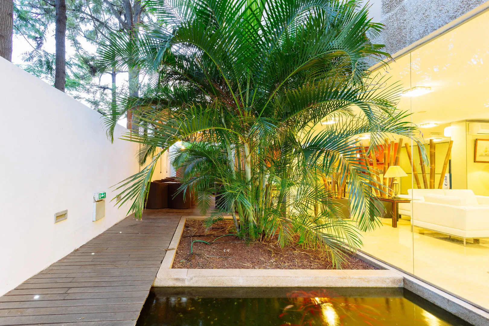 Photo - Hotel Colon Rambla