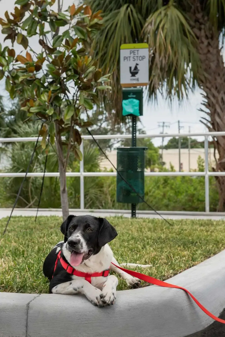 Photo - Home2 Suites By Hilton Tampa Westshore Airport