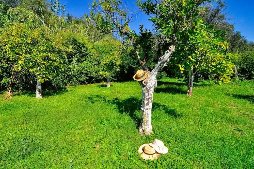 Foto - Portico Verde private Villa with pool | Corfu