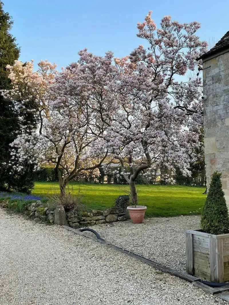 Photo - Hill Farm