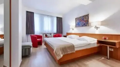 Foto - Hotel Francais