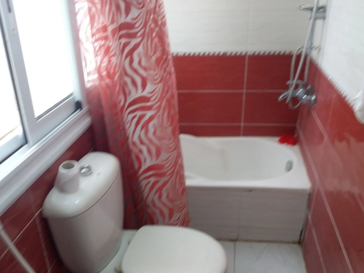 Foto - Isis Hostel 2