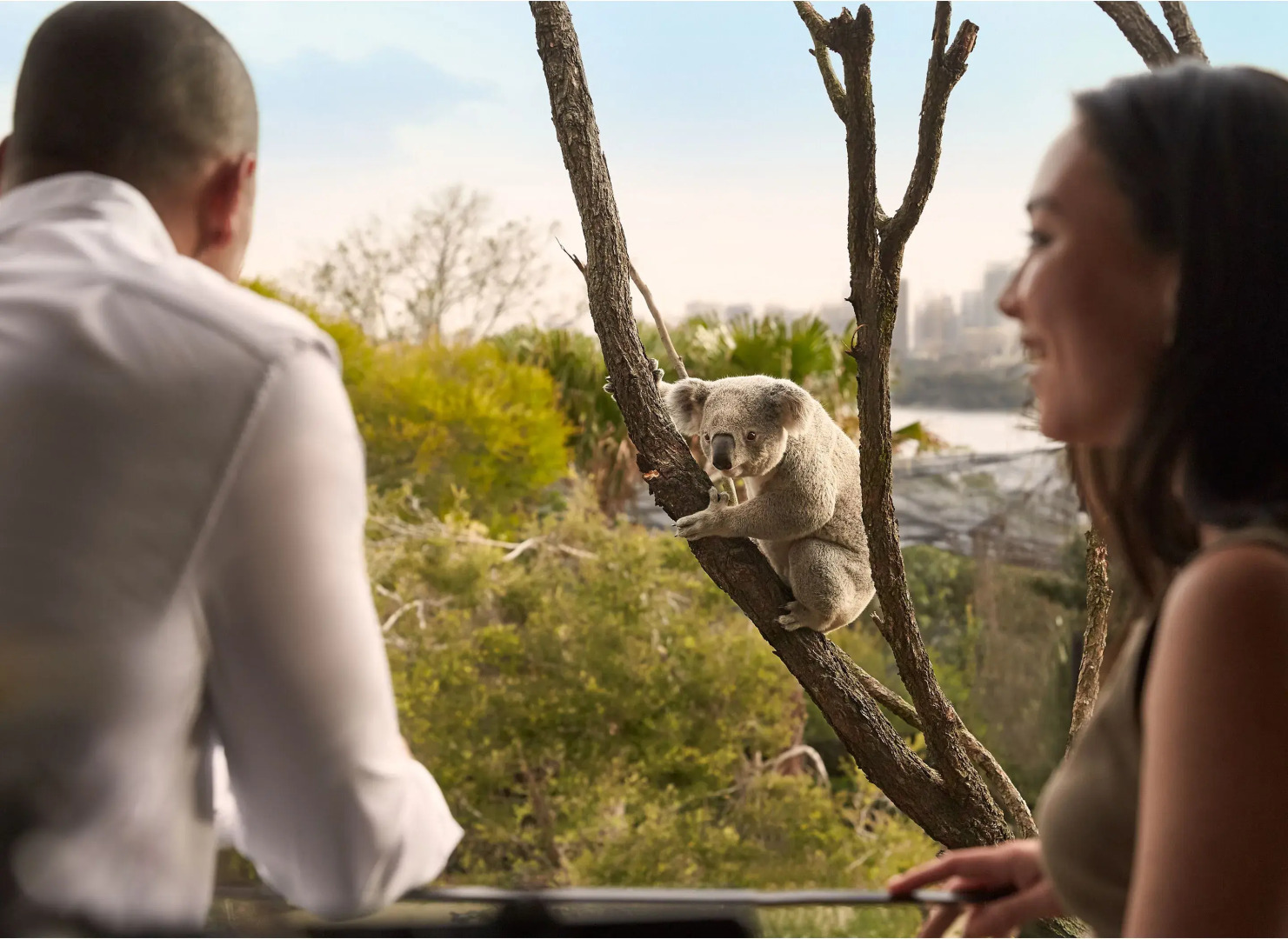 Photo - Wildlife Retreat at Taronga