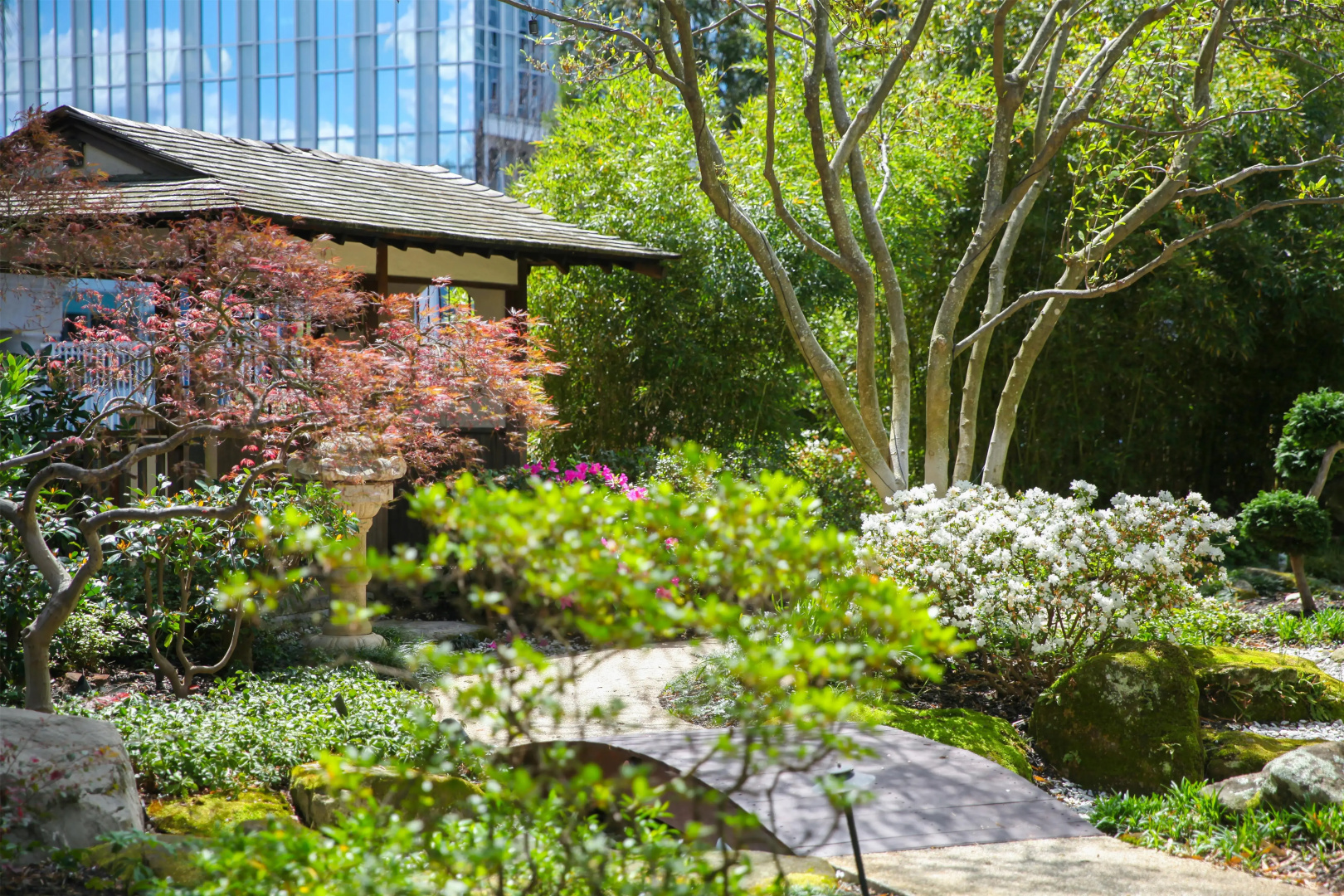 Foto - Grand Hyatt Atlanta in Buckhead