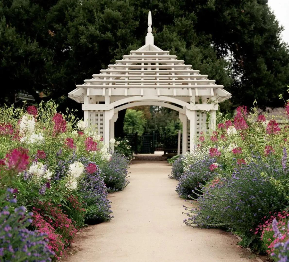 Foto - Homewood Suites by Hilton Palo Alto