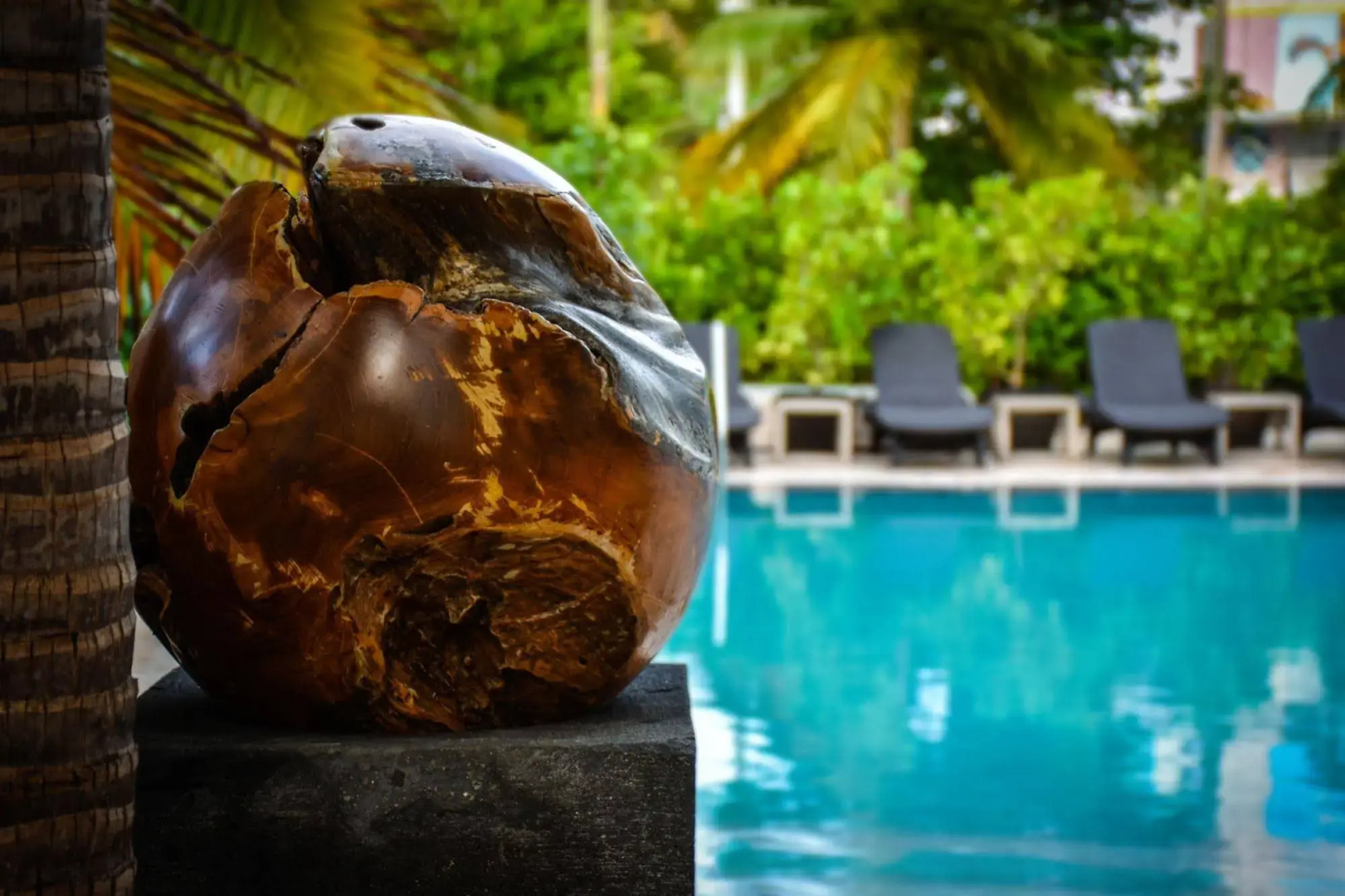 Foto - San Juan Hotel Miami Beach