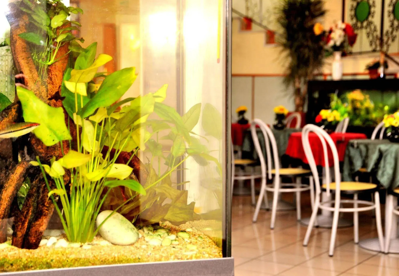 Photo - Hotel San Siro Fiera