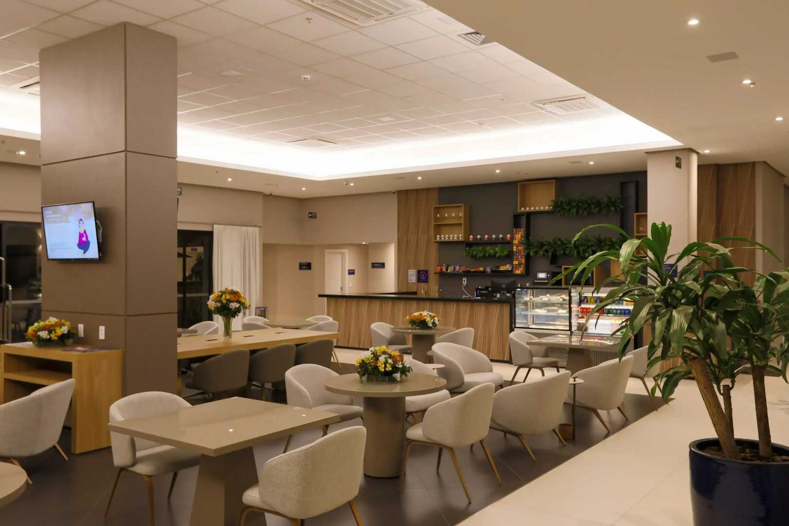 Foto - Comfort Suites São José do Rio Preto