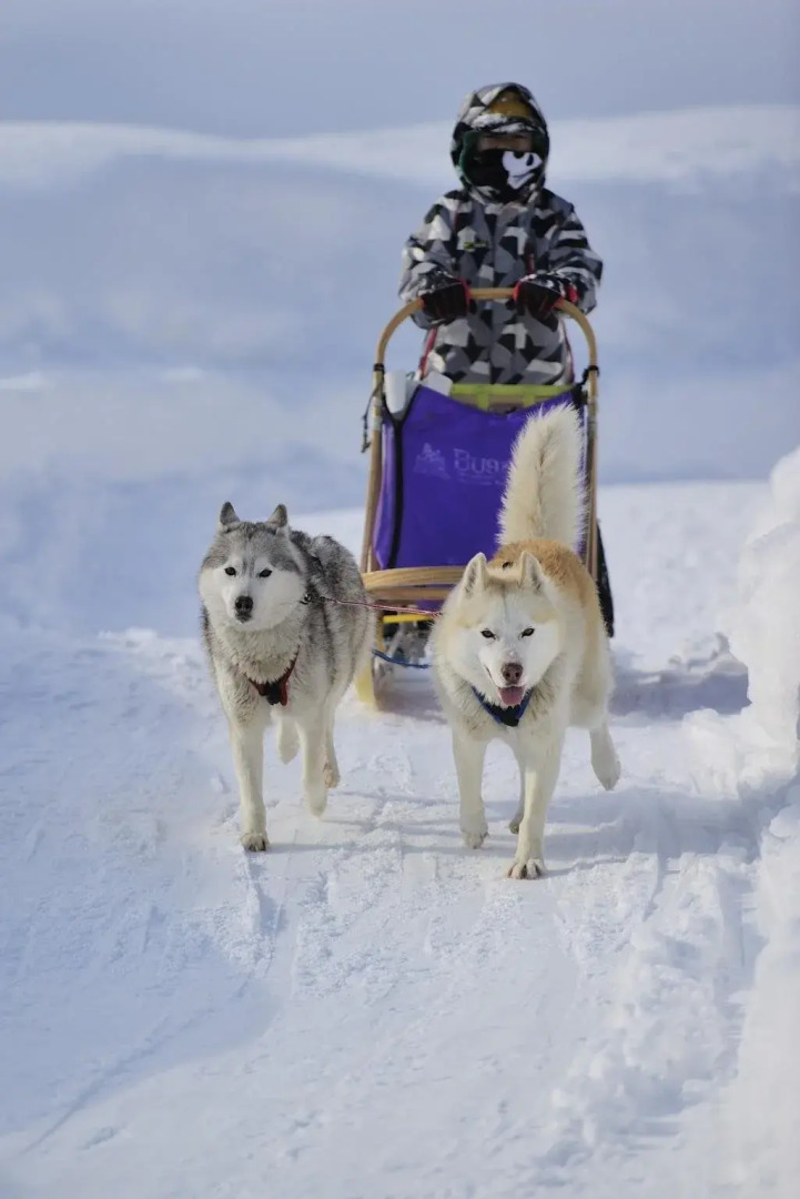 Foto - Richmond Hotel Sapporo Ekimae