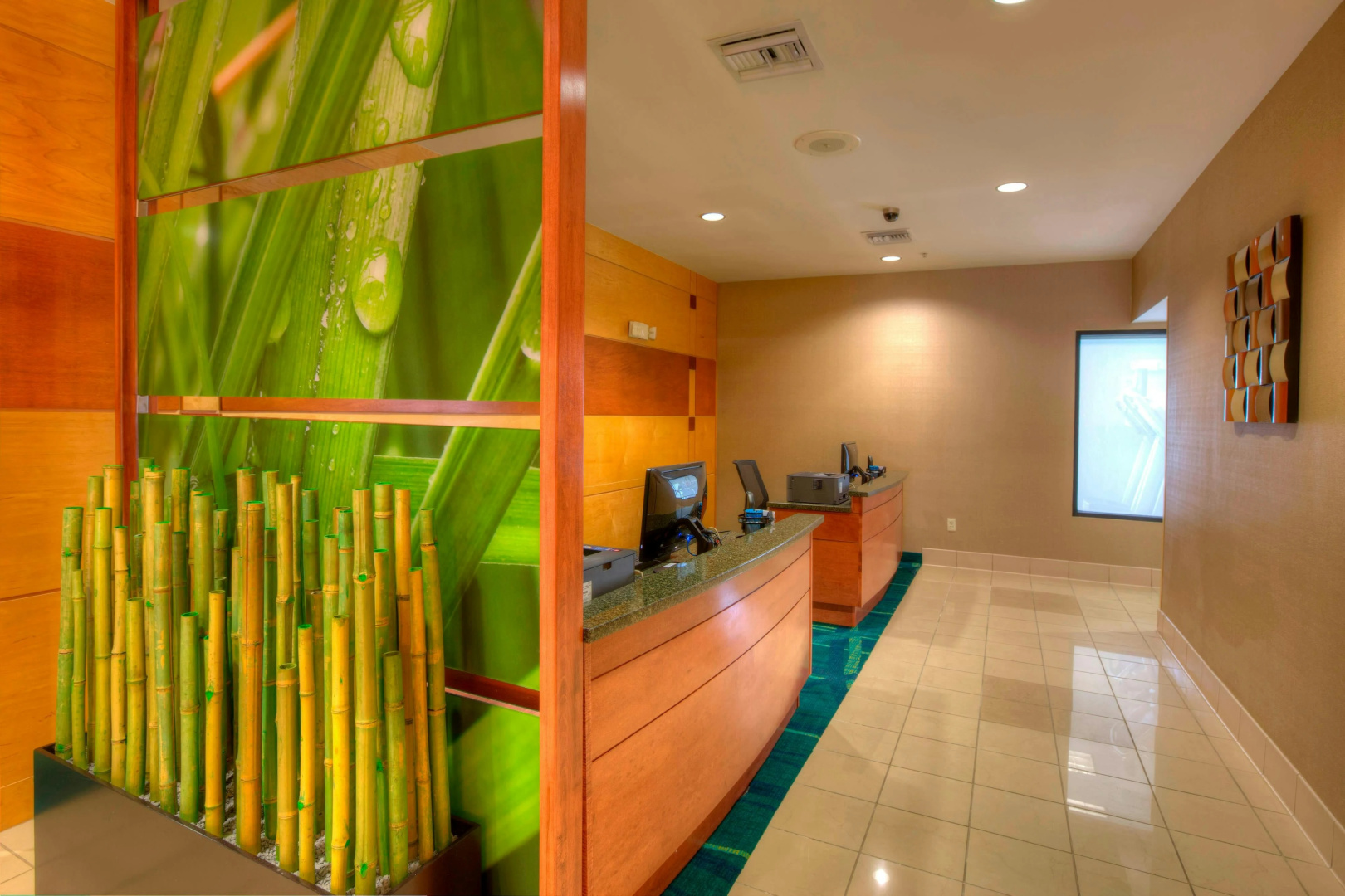 Foto - Springhill Suites by Marriott Tampa Brandon