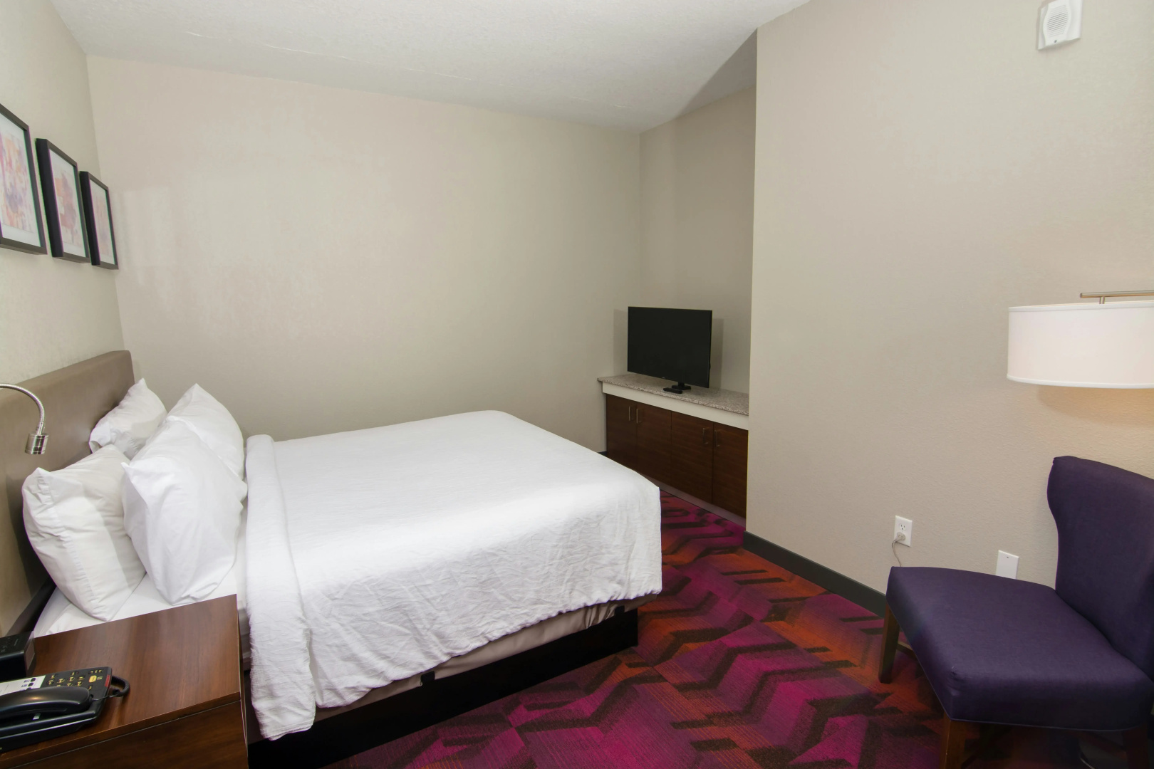 Foto - Hilton Garden Inn Tampa Suncoast Parkway