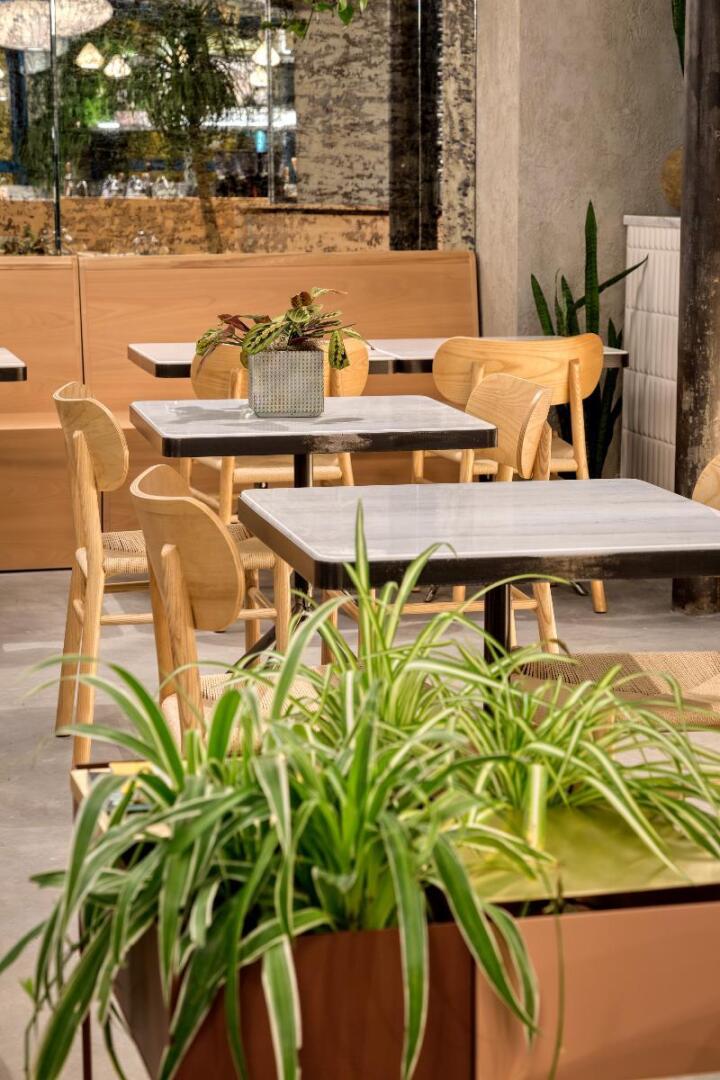 Photo - Bob W Athens Eolou