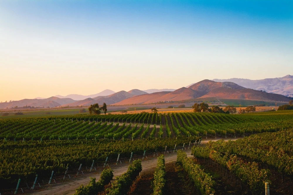 Appellation Healdsburg, Bild 8 von 9