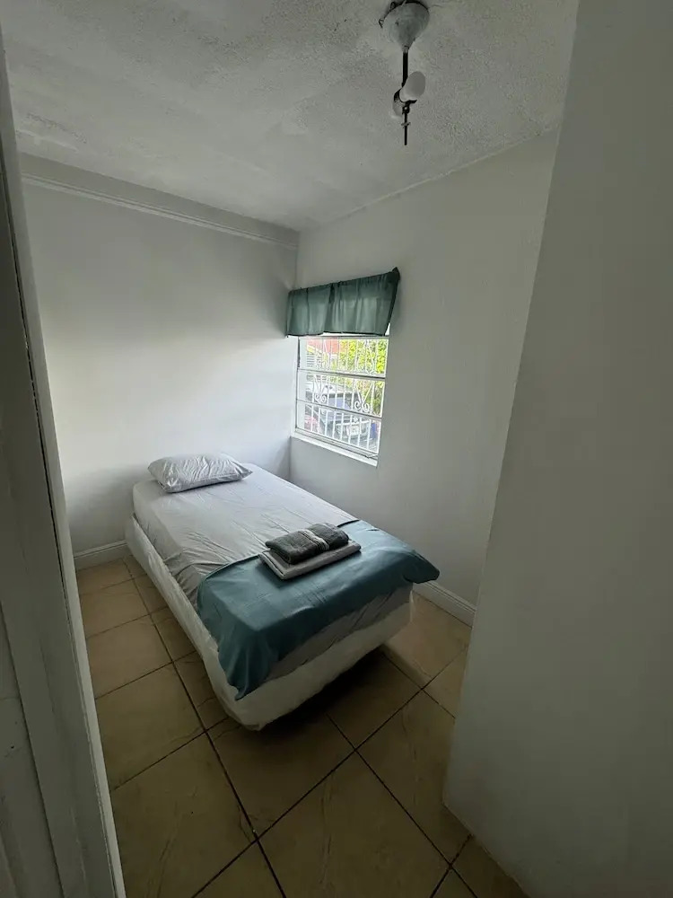 Photo - Safari Wynwood