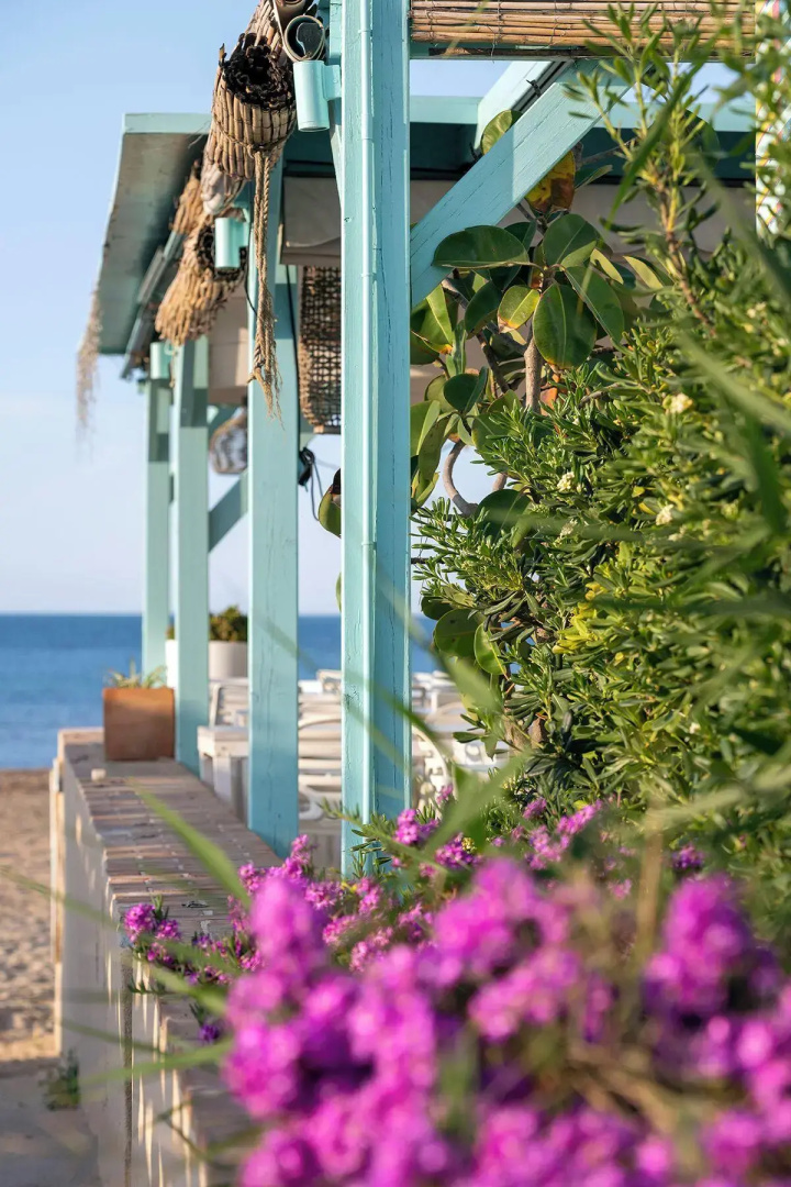 Foto - Hotel Noguera Mar