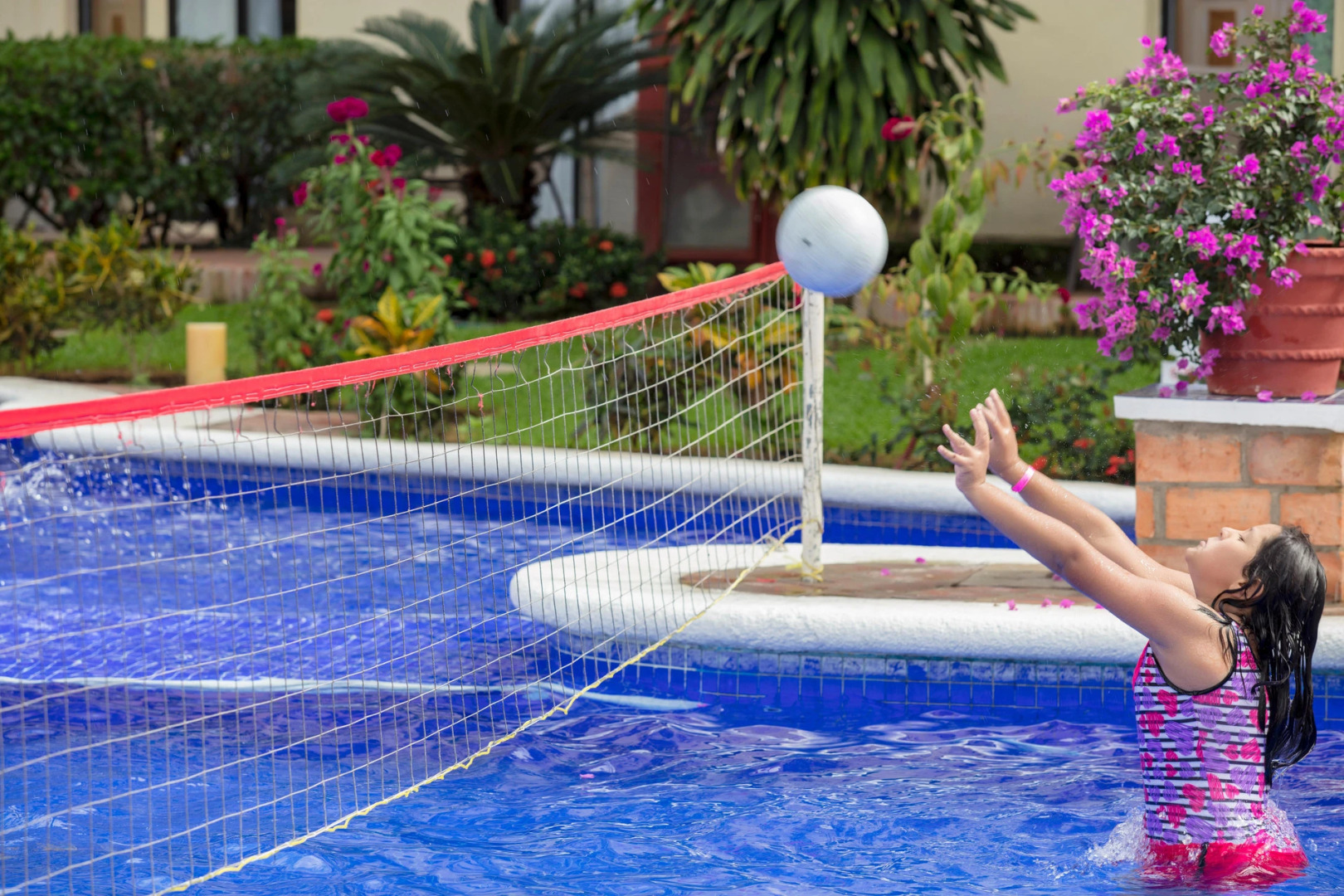 Foto - Flamingo Vallarta Hotel & Marina