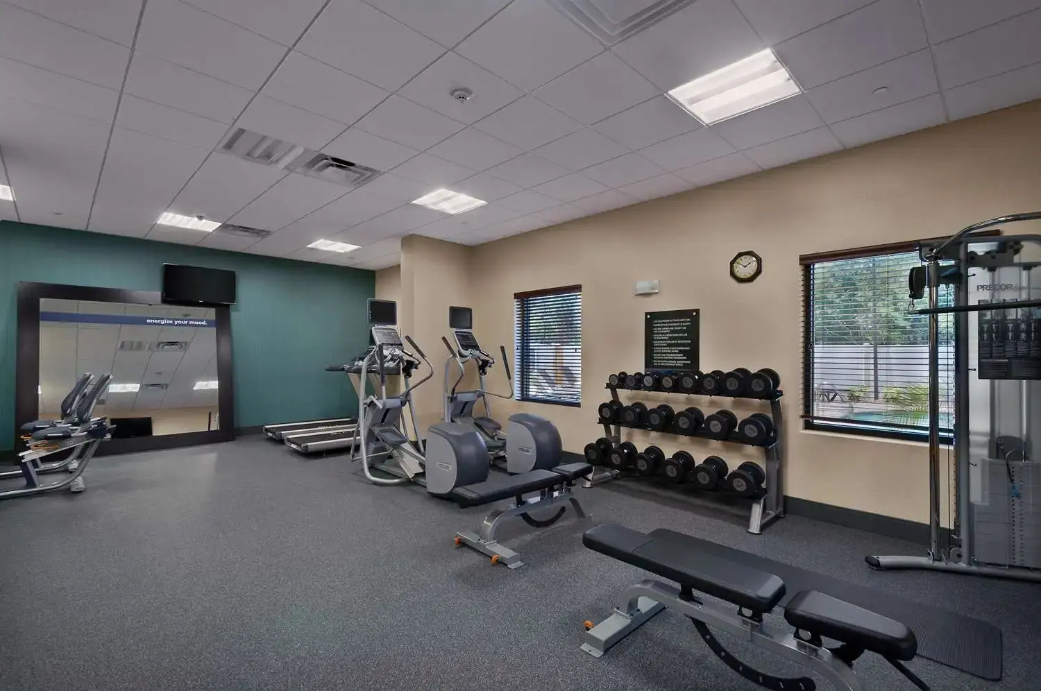 Foto - Hampton Inn & Suites Tampa Northwest/Oldsmar