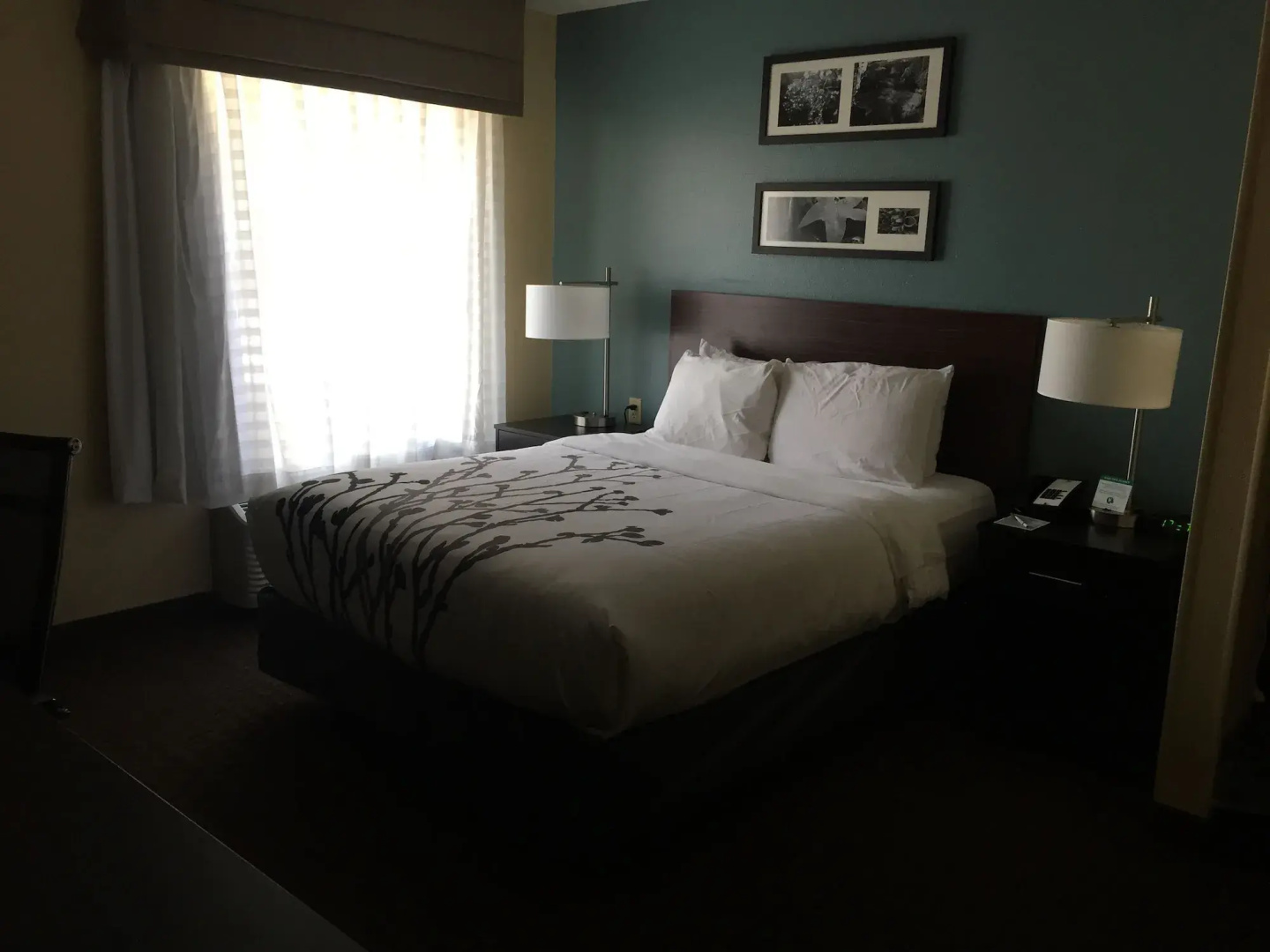 Photo - Sleep Inn Springfield West