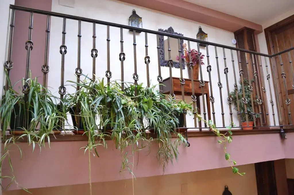 Foto - Hostal Toribio