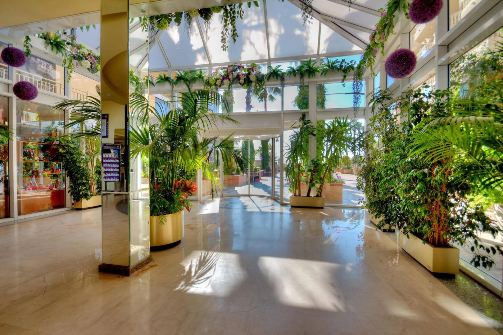 Foto - Hotel Servigroup Papa Luna 4 Sup