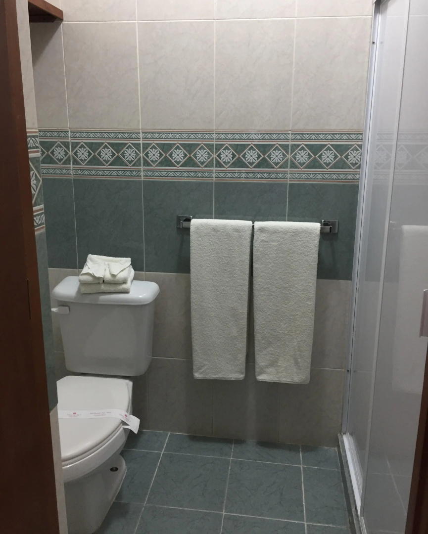 Photo - Hotel Palacio