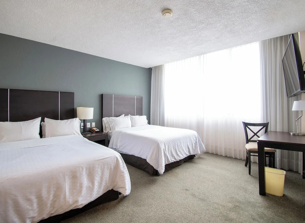 Foto - Hotel Plaza Génova Centro