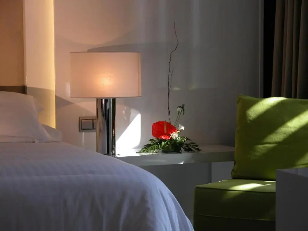 Foto - Hotel Palacio Albacete