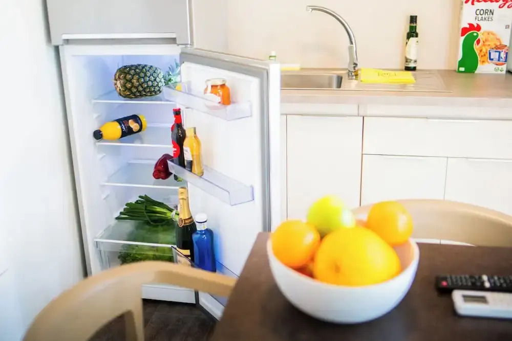 Foto - Camping Bellsol Pets