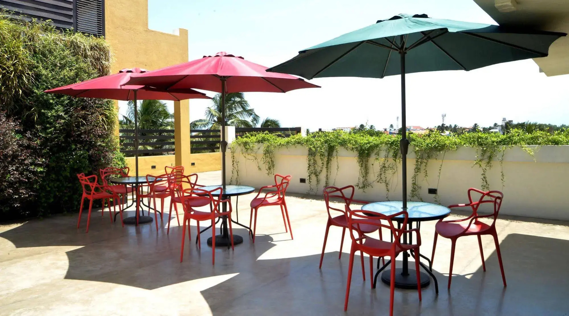 Foto - Terrace Green Hotel & Spa