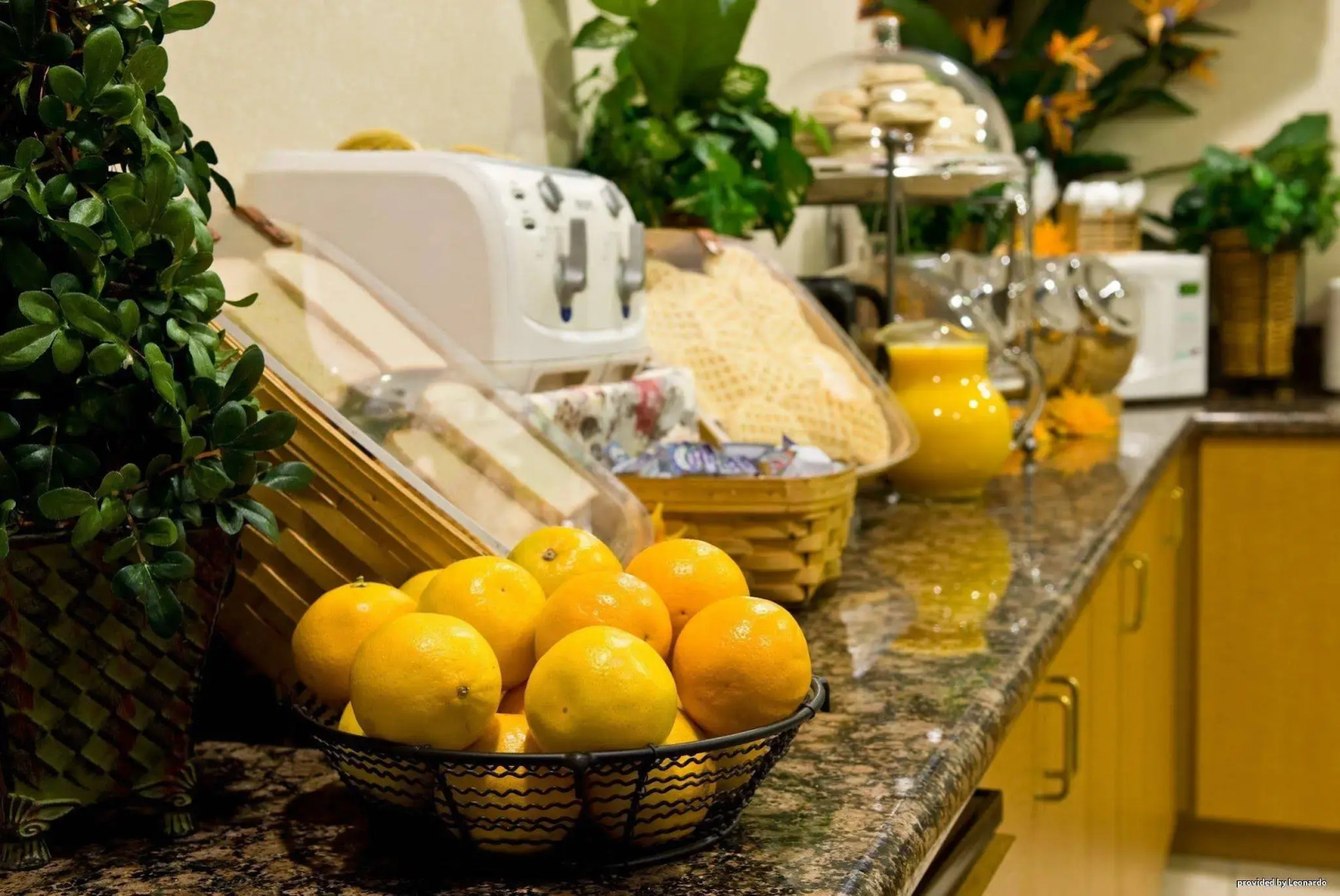 Foto - Best Western San Diego/Miramar Hotel