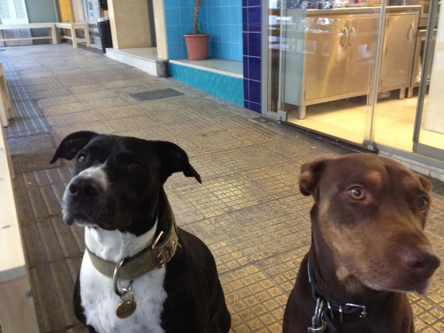 Photo - Athens Studios