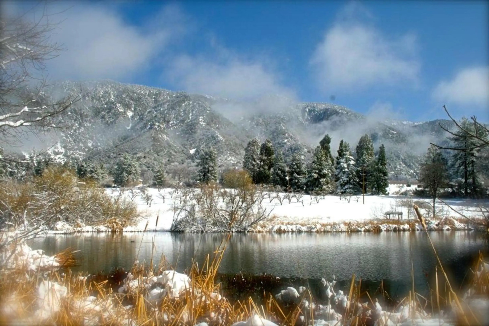 Foto - Motel 6 Las Vegas NV Downtown Fremont St