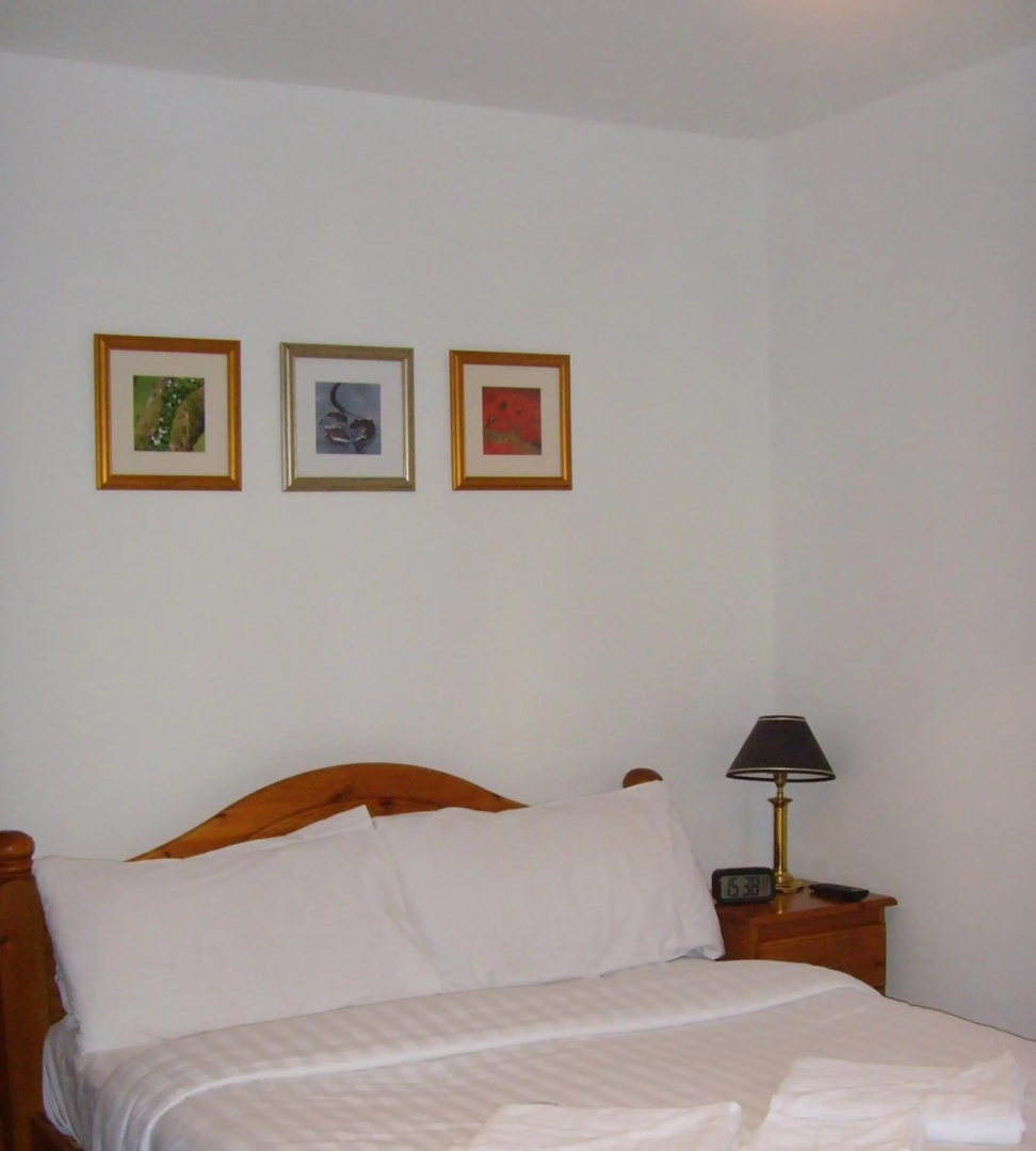 Foto - Twin Lions Hotel