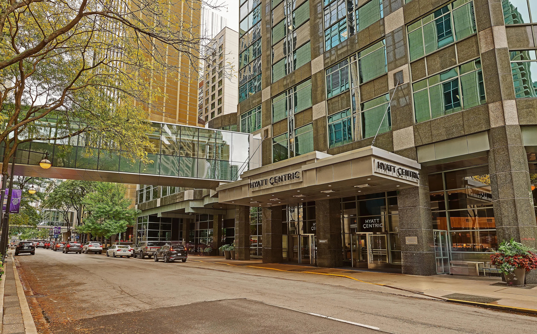 Foto - Hyatt Centric Chicago Magnificent Mile